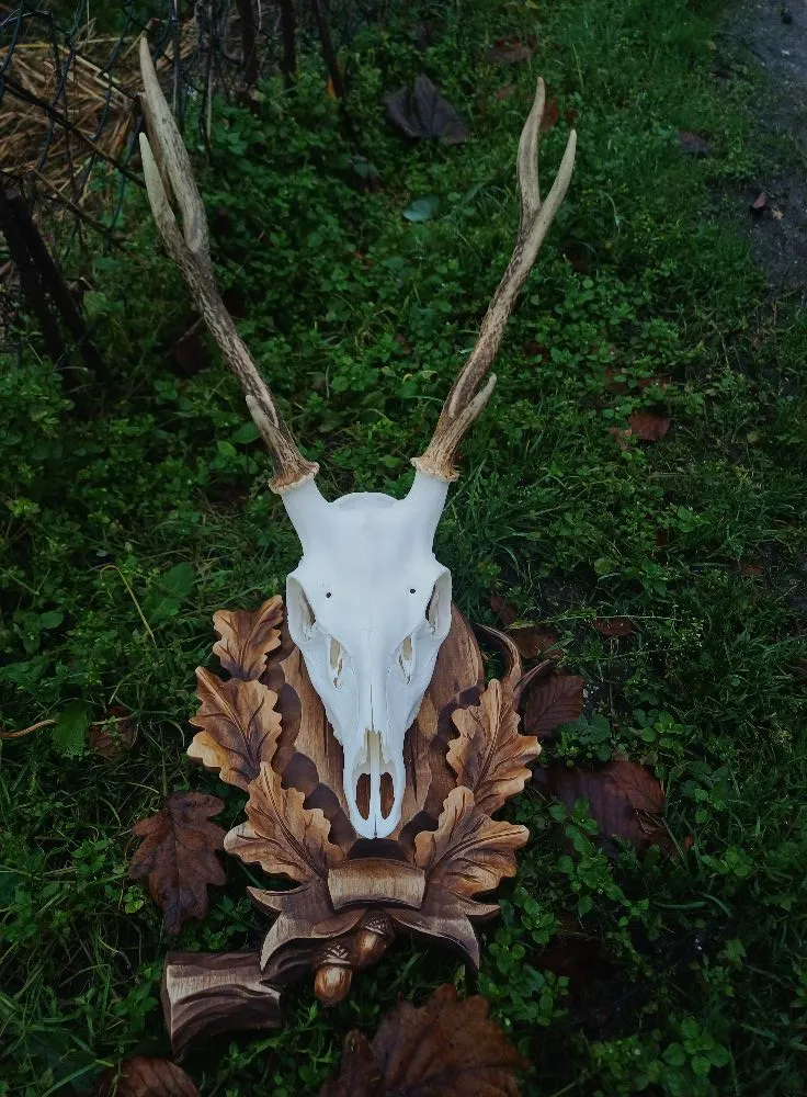 Podložka pod poľovnícku trofej